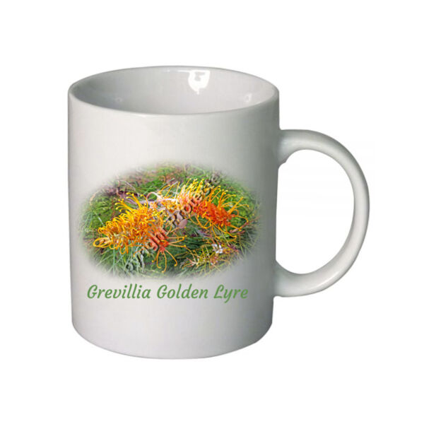 Grevillia Golden Lyre Thumbnail